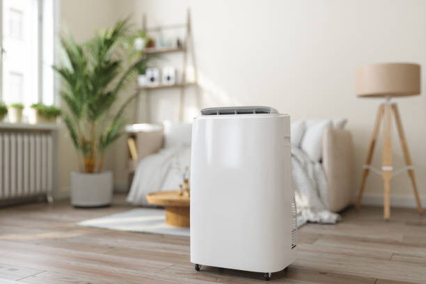 Best Air Filters and Purifiers in Hanna City, IL